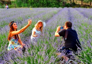 ISPARTA LAVANTA HASADI