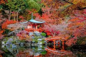 JAPONYA (Koyo Zamanı)